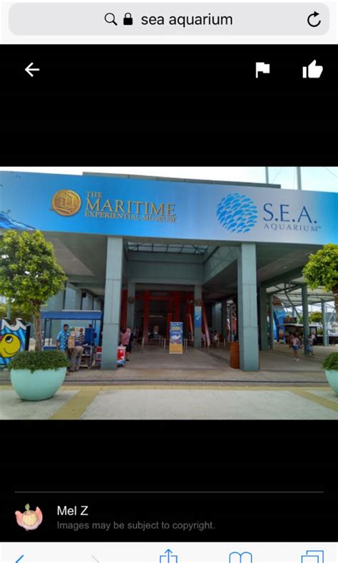 RwS sea aquarium, Everything Else on Carousell