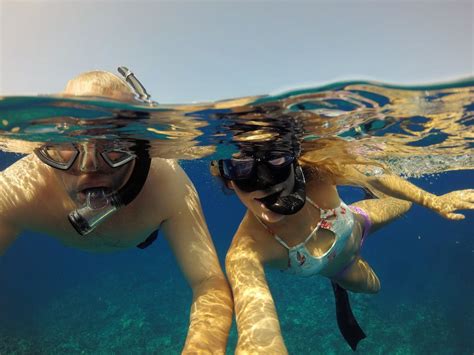 3 Best Snorkeling Spots on the Big Island | Dolphin Discoveries