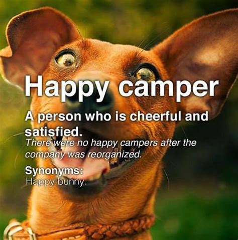 Idiom "Happy camper". | Idioms, English idioms, Happy campers