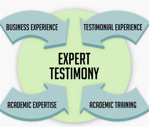 Expert Witness Testimony - Nicole A. Voelker, CPA/ABV