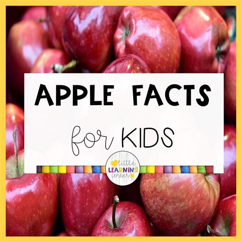 25 Fun Apple Facts for Kids - Little Learning Corner