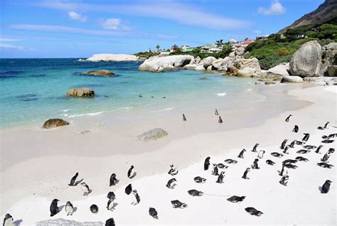 Cape Town South Africa Beaches