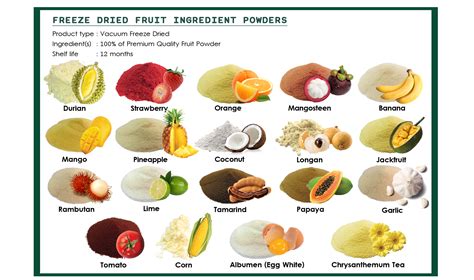 VACUUM FREEZE DRIED FRUIT POWDER - Halo-corp