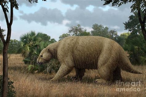 Giant Ground Sloth Photograph by Mauricio Anton/science Photo Library ...