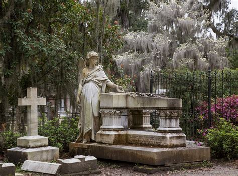 Bonaventure Cemetery in Savannah, Georgia | Beautiful Flower Pictures Blog