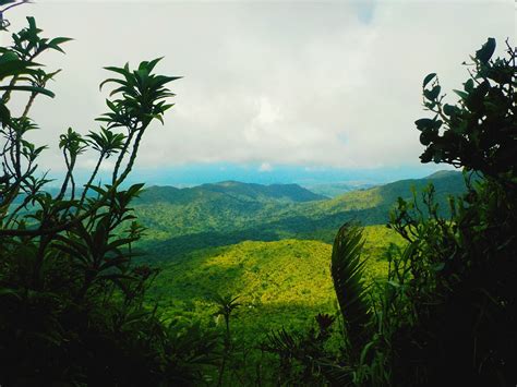 A Guide to Visiting El Yunque National Rainforest