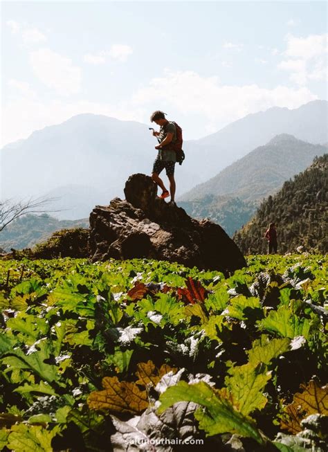 Trekking in Sapa: Balancing on the Ricefield Borders of Vietnam