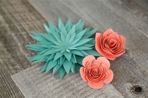 How To Cut Paper Flowers On Cricut - Freeda Qualls' Coloring Pages