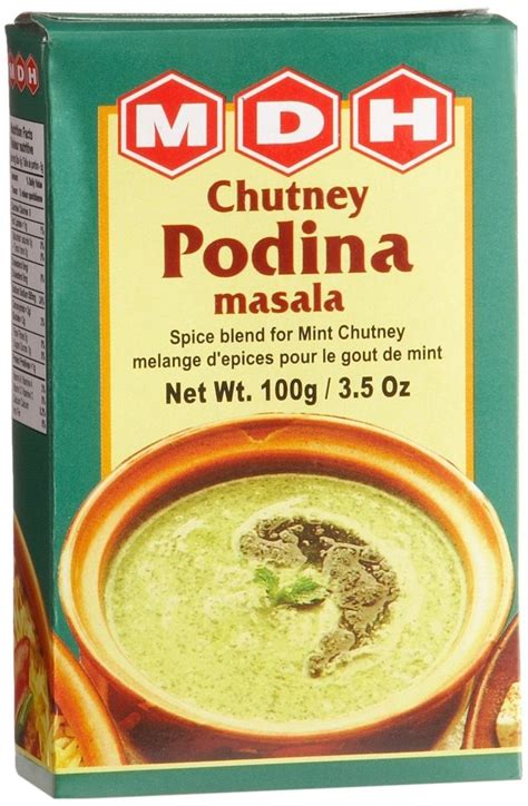 MDH Chutney Podina Masala, Packaging Size: 100g at Rs 650/kg in Pune