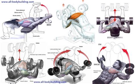 Chest Exercises For Men Dumbbells