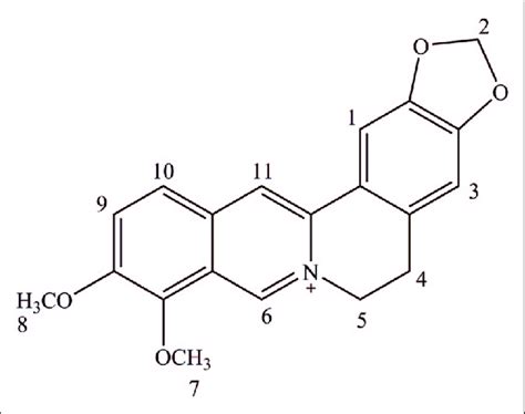 The structure of berberine. | Download Scientific Diagram