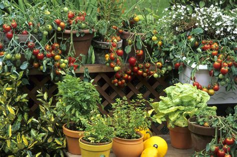 Big Gardening Ideas For Small Spaces - Farmers' Almanac - Plan Your Day ...