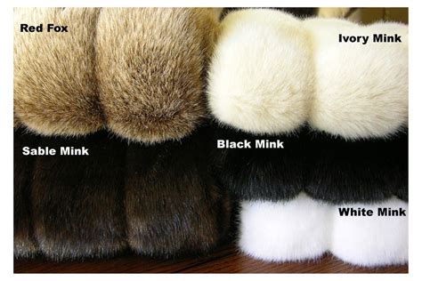 Types Of Fur Coats – Tradingbasis