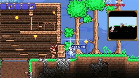 Buy Terraria Nintendo Switch - flfree