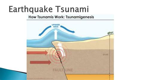 Earthquake Tsunami Diagram