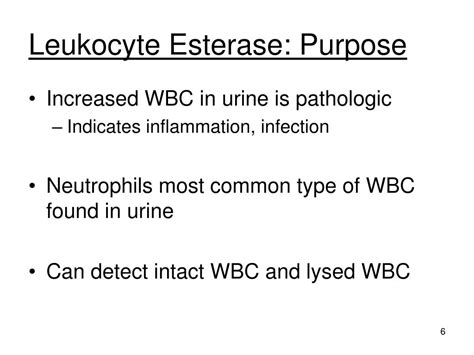 PPT - Chemical Examination of Urine Part IV: Nitrite & Leukocyte ...