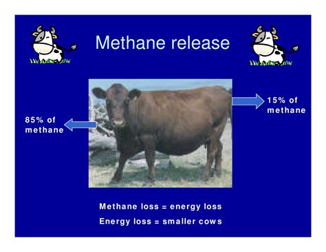 Methane Gas: Fart Methane Gas