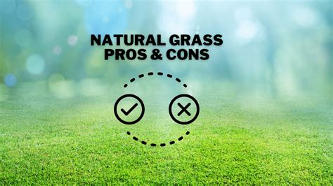 Artificial Turf vs. Natural Grass: Pros and Cons