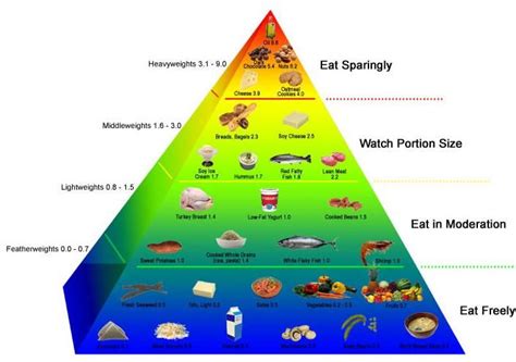 Nutrition And The Food Pyramid