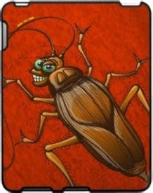 Cockroach Bite Identification, Treatment, and Prevention | Health Clover