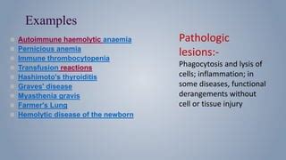 hypersensitivity | PPT