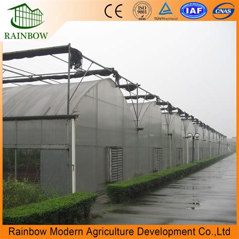 Multispan Large Commercial Leafy Vegetable Hydroponics Greenhouse ...