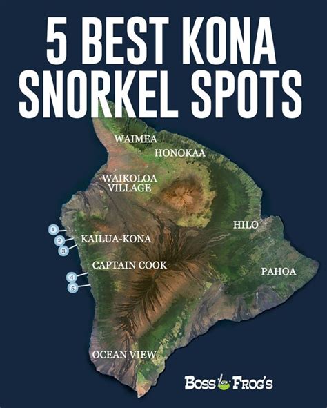 5 Best Kona Snorkeling Spots - Boss Frog's Snorkel, Bike & Beach Rentals