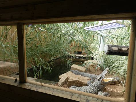 Siamese crocodile enclosure - ZooChat