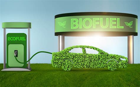 Biofuels vs Fossil Fuels: Avantages, Disadvantages and More | dubizzle