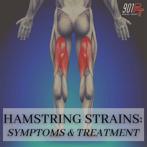 Hamstring Strain Injury: Symptoms and Treatment