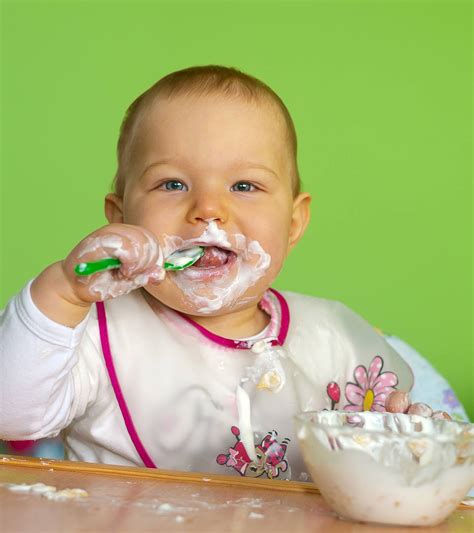 10 Easy Greek Yogurt Recipes For Babies