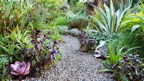 Edible Landscape Ideas