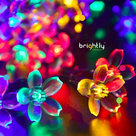 200 LED Solar Flower Light – Brightly Australia