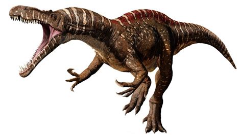 Suchomimus Pictures & Facts - The Dinosaur Database