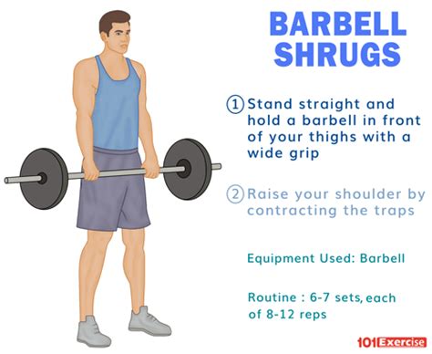 Barbell Shrugs: How to do, Benefits, Muscles Worked