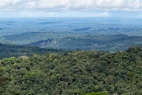 Visiting the Amazon Rainforest in Ecuador | On The Go Tours