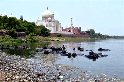 Pollution in Yamuna