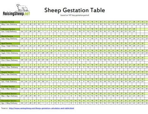 Sheep Gestation Calculator | Gestation Table for Sheep - RaisingSheep.net