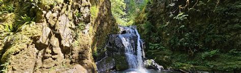 Wolf Creek Falls Trail, Oregon - 493 Reviews, Map | AllTrails