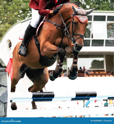 Horse Jumping Competition Stock Photo - Image: 44356482