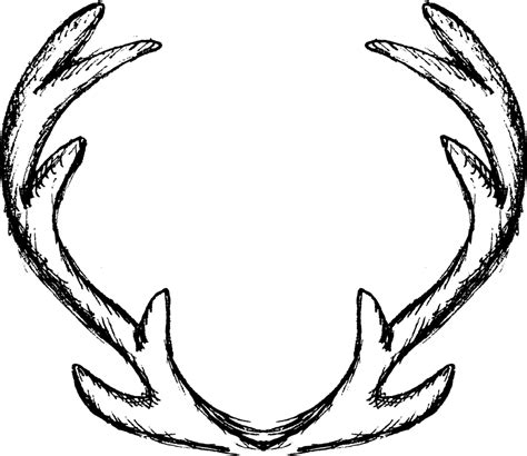 antler graphics | Antler drawing, Coffee art, Chalkboard art