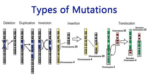 MUTATION