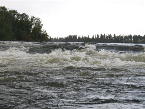 Pictures of Northern Saskatchewan Wildlife