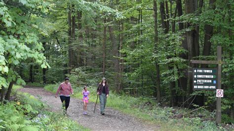 Allegany State Park Trails | Enchanted Mountains of Western New York State