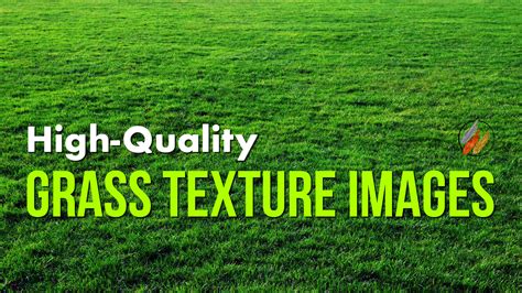 12 Useful Grass Textures