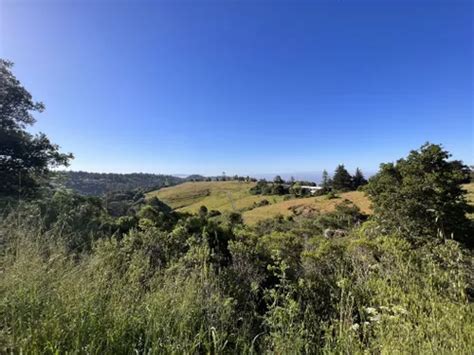 10 Best Hikes and Trails in Reinhardt Redwood Regional Park | AllTrails