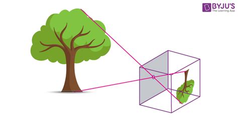 Pinhole Camera - Definition, How To Make a Pinhole Camera, Image ...