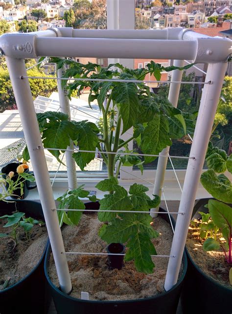 DIY Collapsible Tomato Cages for Containers - Mike's Home, Garden ...