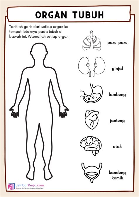 Organ Tubuh Manusia (1) - LembarKerja.Com