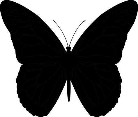 Butterfly Vector graphics Clip art Silhouette - png download - 2400* ...